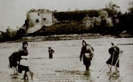 Outil de pêche : have à chevlin