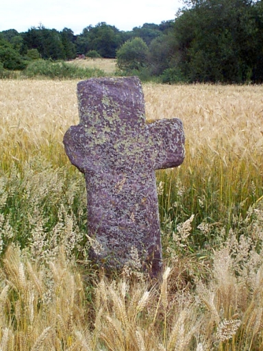 Croix de chemin, la Brémaudais (Maure-de-Bretagne fusionnée en Val d'Anast en 2017)