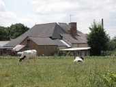 Ferme, actuellement maison, le Chêne des Noës (Saint-Aubin-d'Aubigné)