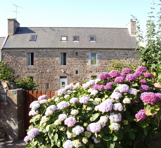 Maison, 67 rue Saint Gonéry (Plougrescant)