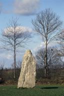 Présentation de la commune de Pocé-les-Bois