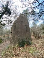 Menhir, au sud de Ranion (Pleucadeuc)