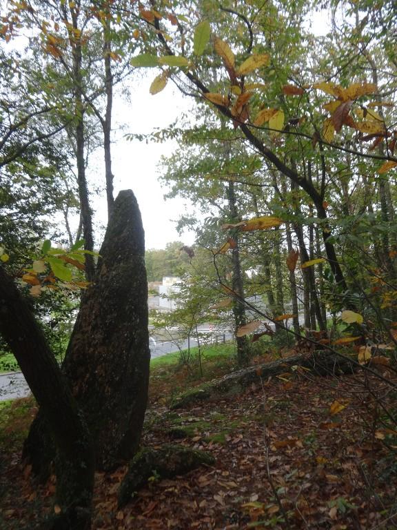 Menhir, dit de la Roche piquée (La Gacilly)