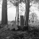 Croix monumentale dite Doul Laden ou Douve Lahuen, près de Foliorh (Brandivy)