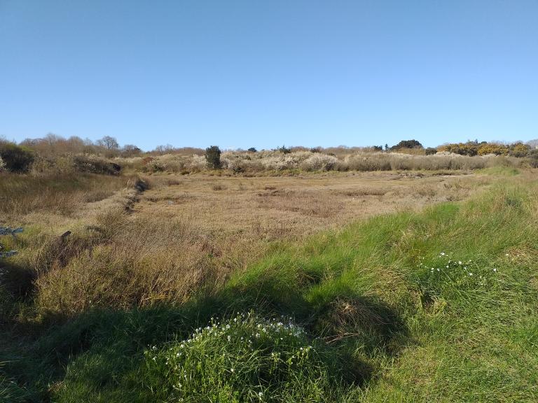 Les marais salants (Parc naturel régional du Golfe du Morbihan)