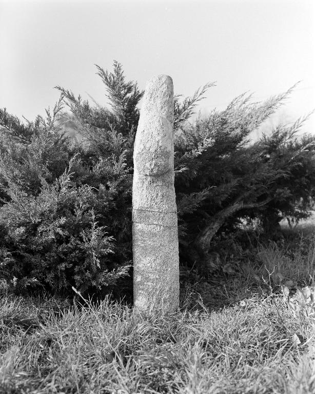 Croix de chemin, le Mourillon (Quéven)