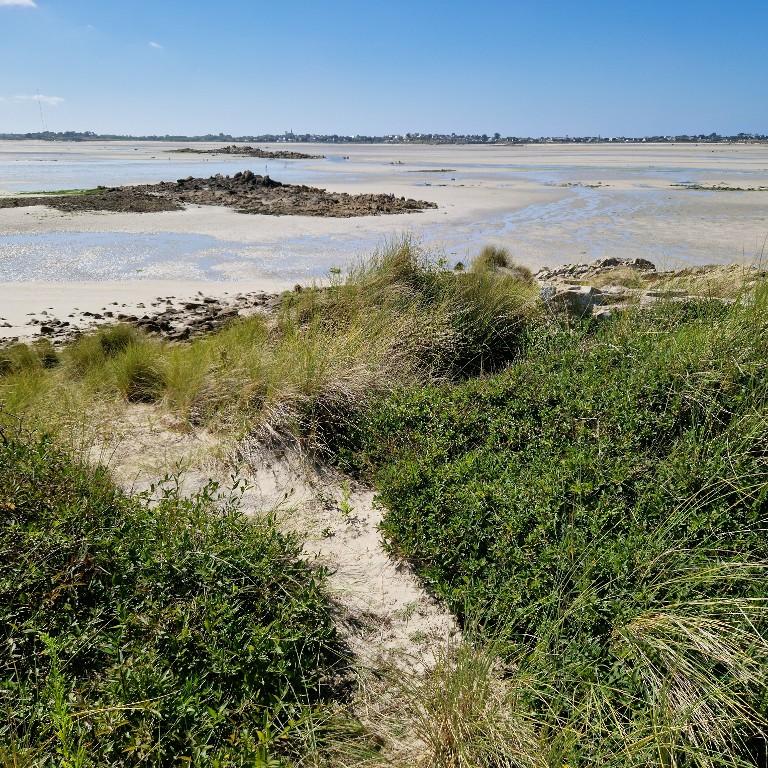 Ensemble fortifié (A 6), sur la pointe située face à la roche Malban, Dunes de Keremma (Tréflez)
