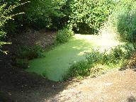 Routoir de Goasjoulin (Plouézec)