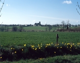 Maison, l'Oilinière (Erbrée)