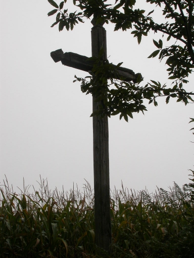 Croix de chemin, près de la Butte de Beauregard (Saint-Symphorien)