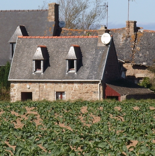 Maison, Keraliou (Pleubian)