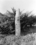 Croix de chemin, le Mourillon (Quéven)