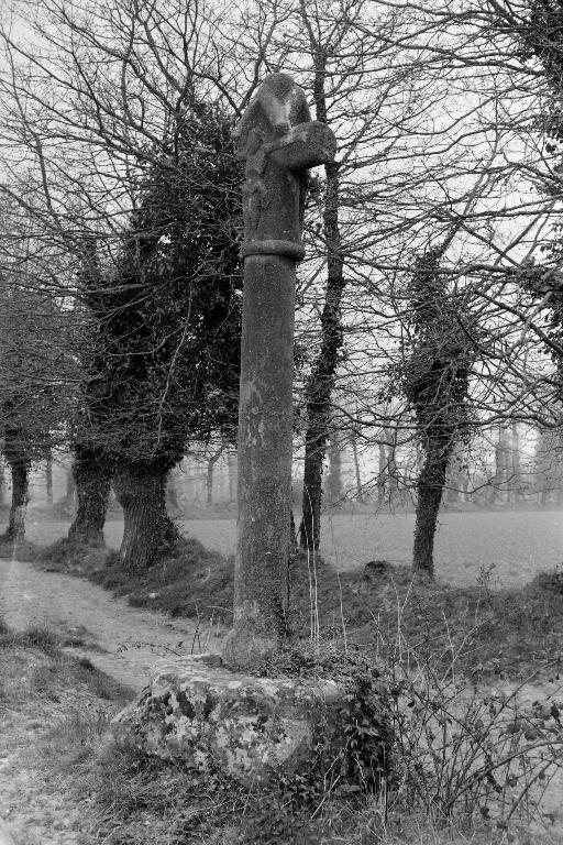 Croix de chemin, la Ville Cotto (La Croix-Helléan)
