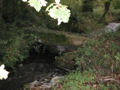 Menhir du Pont Blanc, Pont ar Gwen (Plestin-les-Grèves)