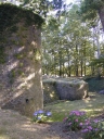 Ruines du château fort du Plessis-Bertrand (Saint-Coulomb)