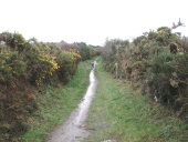 Espaces littoraux remarquables de Bringuiller (Pleumeur-Bodou)