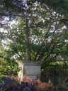 Croix de chemin, Kernonen (Saint-Caradec)