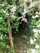 Abri n° 4 (Vestiges du poste de douane : ?), Pointe de Penn-al-Lann (Carantec)