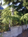 Croix de chemin, la Chauvais (Meillac)