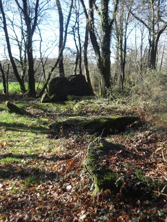 Allée couverte de la Coudraie (Augan)