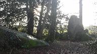 Menhir (Ensemble de 2 Menhirs) dit les Roches du Diable, le Verger (Miniac-sous-Bécherel)