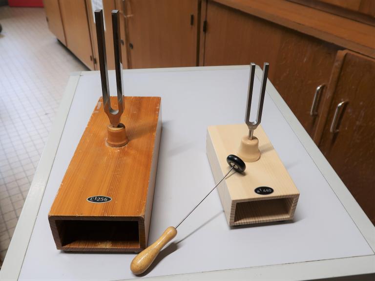 Collections pédagogiques du Lycée Brequigny, 7 Avenue Georges Graff (Rennes)