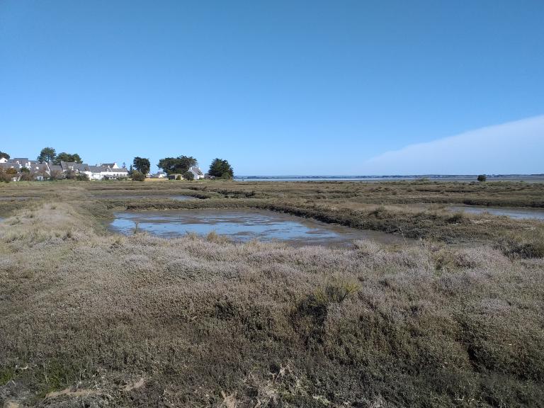 Les marais salants (Parc naturel régional du Golfe du Morbihan)