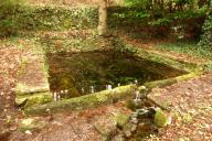 Les fontaines et lavoirs (Confort-Meilars)