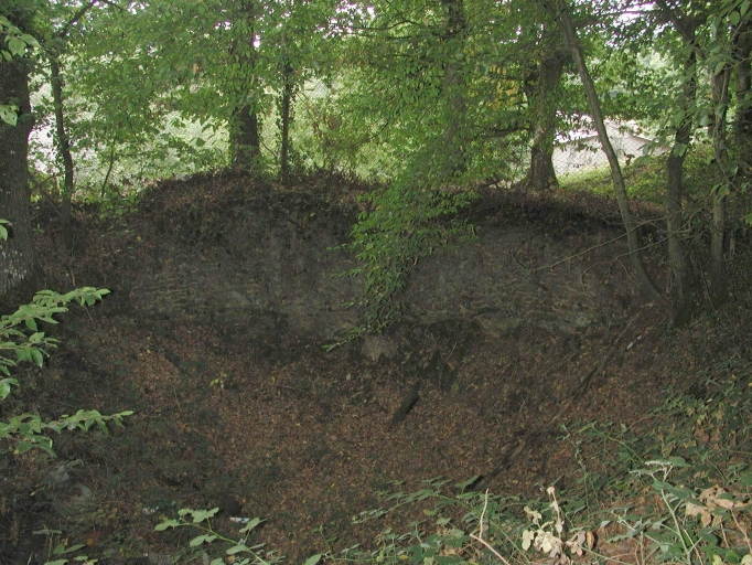 Motte féodale, Métairie de Mont (Talensac)