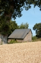 Moulin, la Riolais (Breteil)
