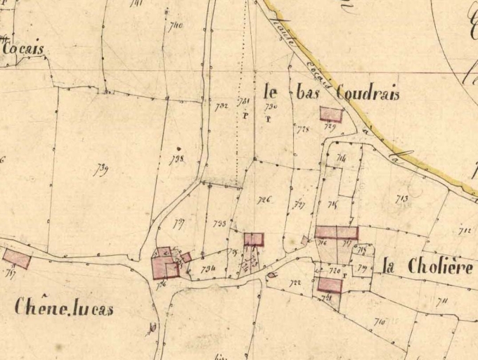 Écart de la Cholière (Le Verger)