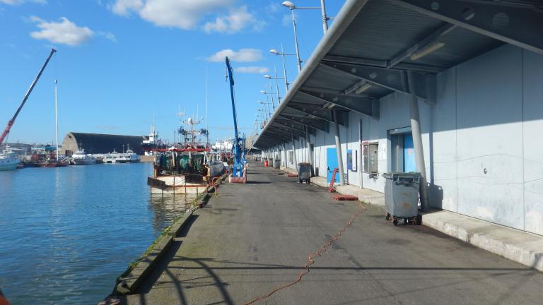 Criée du port de pêche (Lorient)