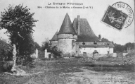 Château, la Motte (Gennes-sur-Seiche)
