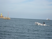 Bateau à passagers : 'Ferless'