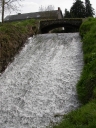 Pont, le Bois Botterel (Trévérien)