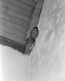 Blochets (8), chapelle Notre-Dame, Kerluan (Châteaulin)