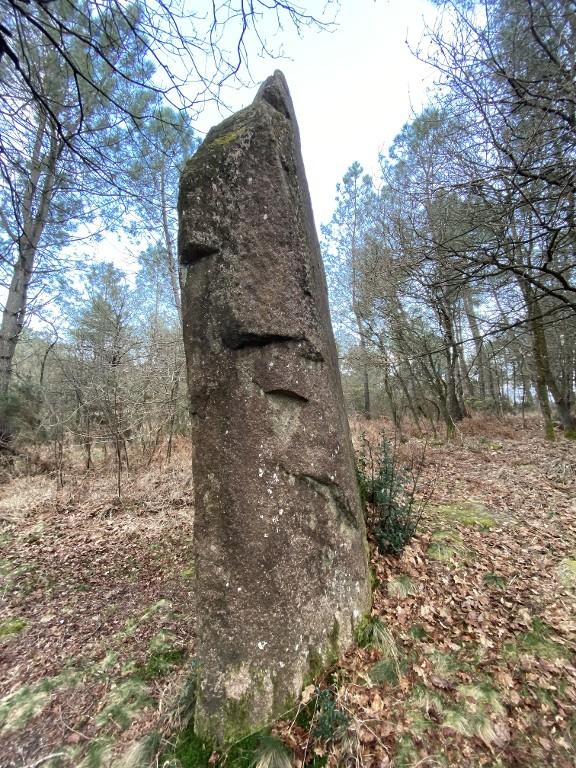 Menhir, au sud de Ranion (Pleucadeuc)