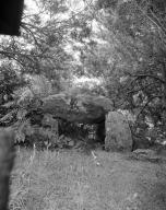 Dolmen de Gornevèse, Gornevez (Séné)