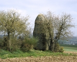 Présentation de la commune de Plénée-Jugon