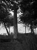 Les croix monumentales sur la commune de Taillis