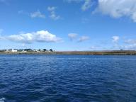 Môle (île-de-Batz)