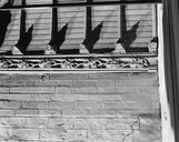 Ensemble des sablières de la nef, basilique Notre-Dame-du-Roncier (Josselin)