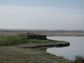 Cabane de chasse au gibier d'eau : gabion (Lancieux)