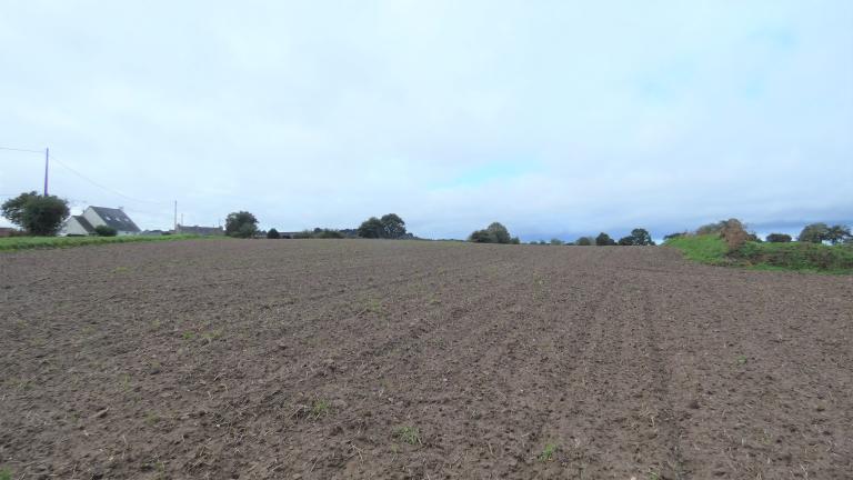 Tumulus, Mouden-Bras (Pleudaniel)