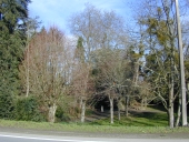Parc de la Grotte, rue Mademoiselle du Vautenet, la Butte (Meillac)