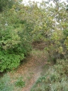 Sentier 2 : sentier de Beg an Ty Meur (Lézardrieux)