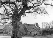 Maison, Botquenven (Priziac)