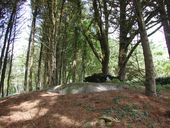 Abri pour un groupe de type Vf 2 a, tourné vers Kervigorn, Keravel-Brouennou (Landéda)