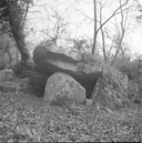 Dolmen dit de Coguer Neguinan, le Palastre (Plescop)