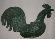 Coq